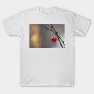 A twig with Berries T-Shirt